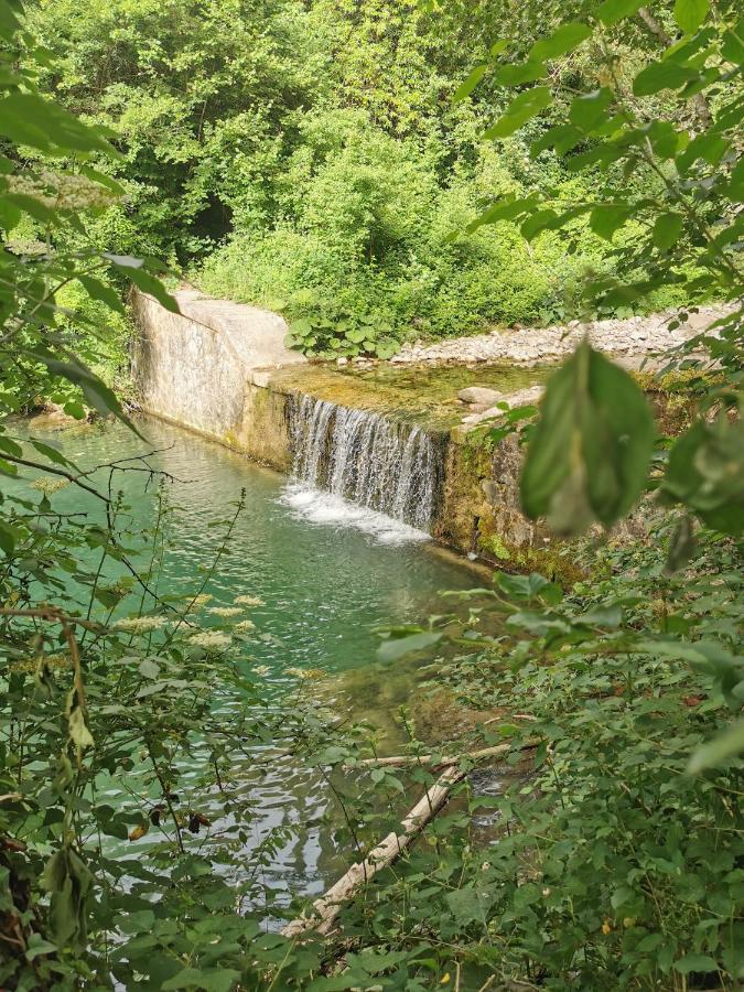 Hotel Senxunia Glamping Nel Bosco Zancona Esterno foto